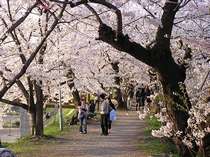 たざわこ芸術村　温泉ゆぽぽ